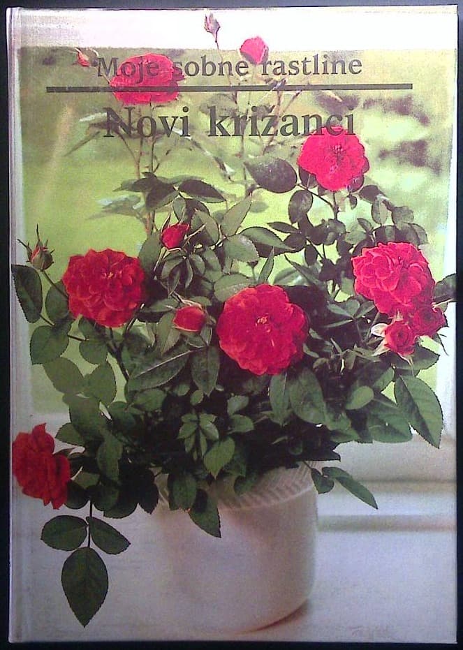 Moje sobne rastline / Novi križanci