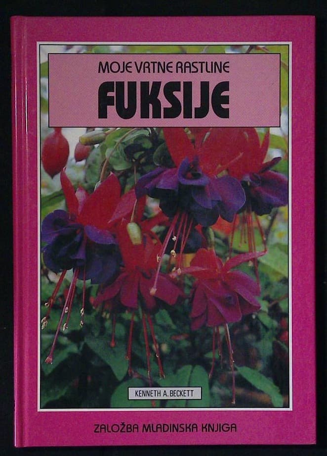 Fuksije
