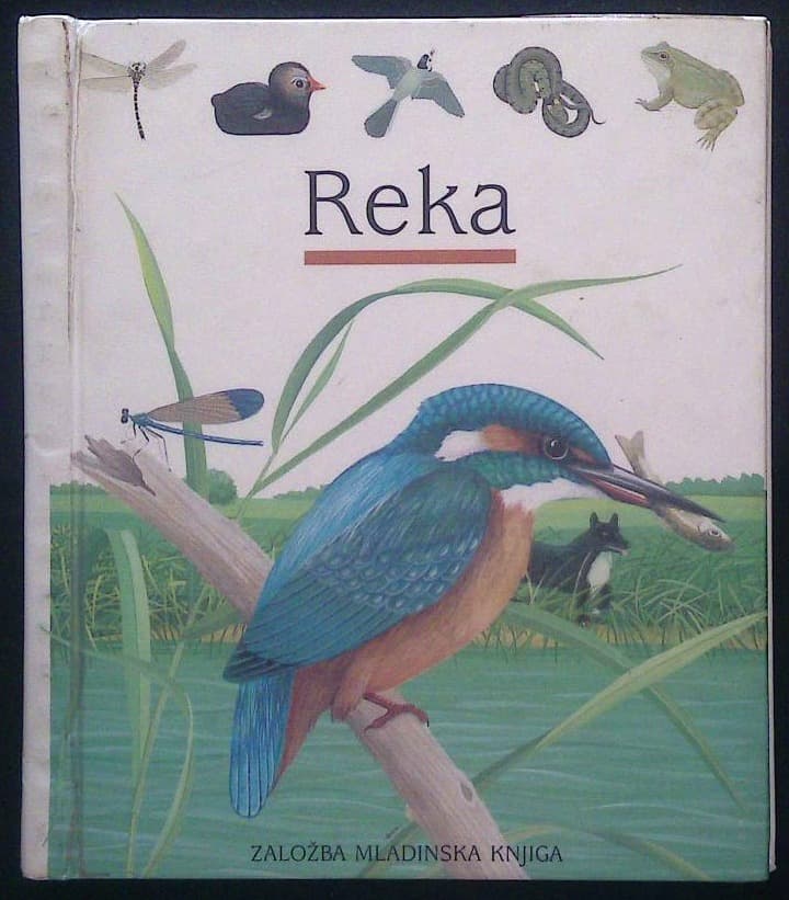 Reka