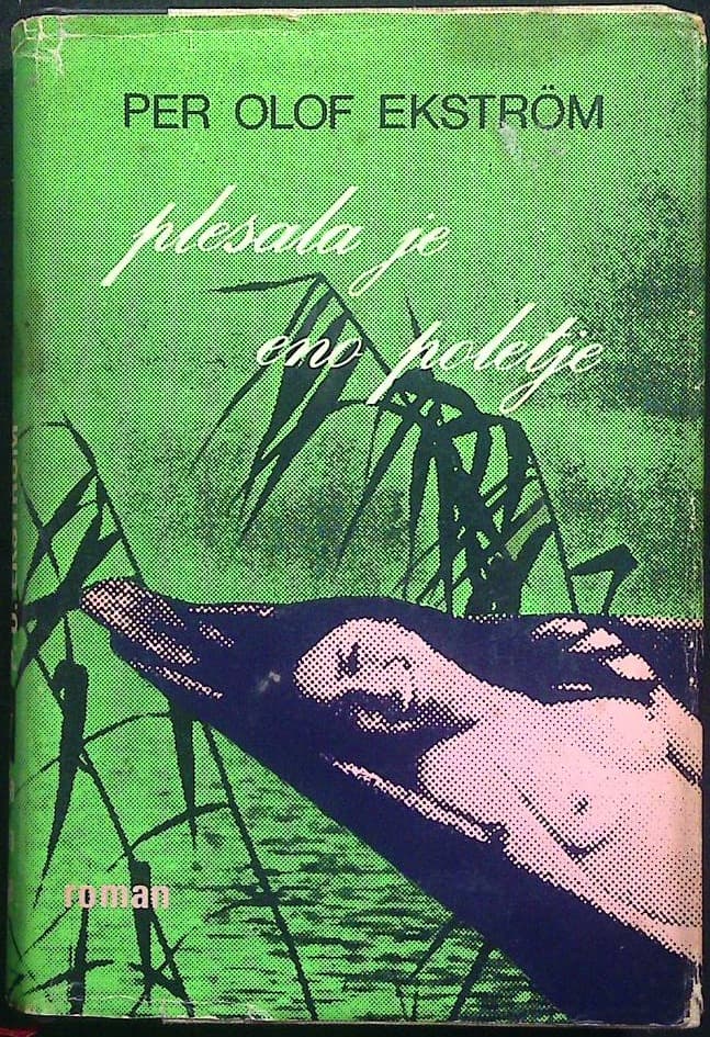Plesala je eno poletje - slika 2