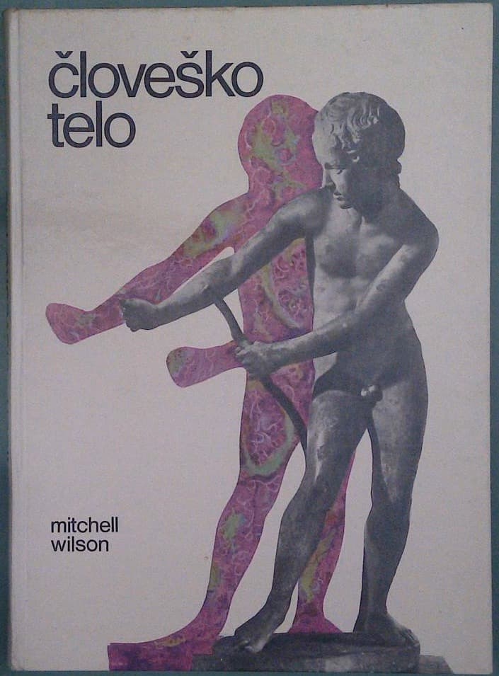 Človeško telo - slika 2