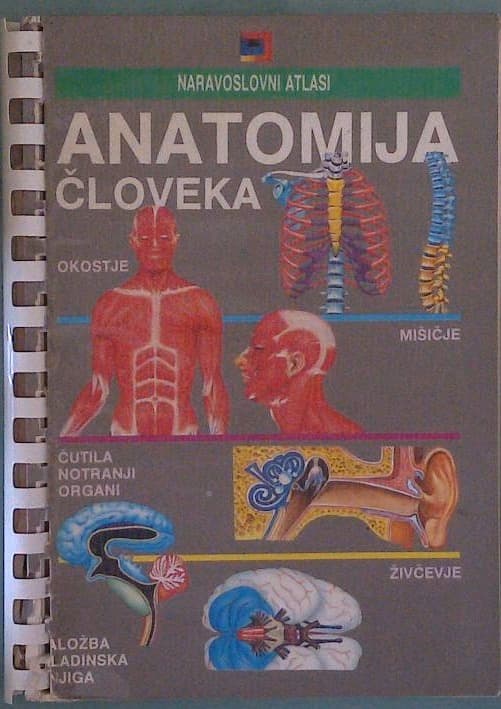 Anatomija človeka