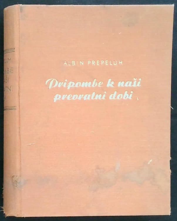 Pripombe k naši prevratni dobi