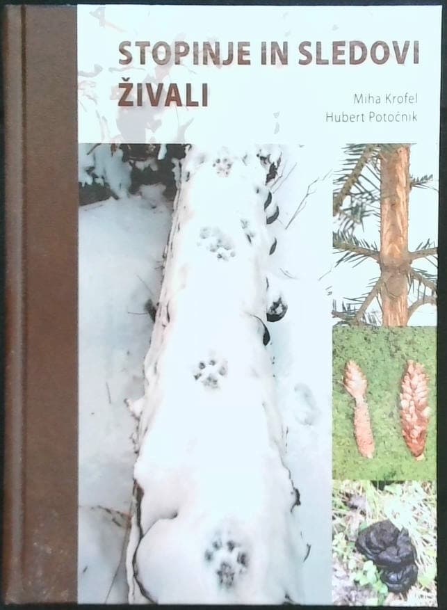 Stopinje in sledovi živali