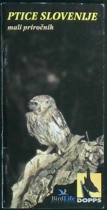 Ptice Slovenije (mali priročnik)
