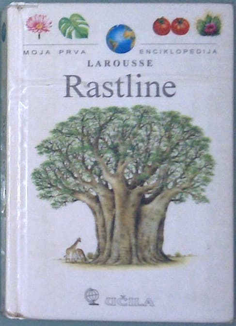 Rastline