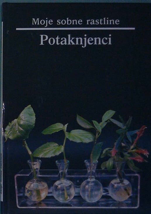 Moje sobne rastline / Potaknjenci
