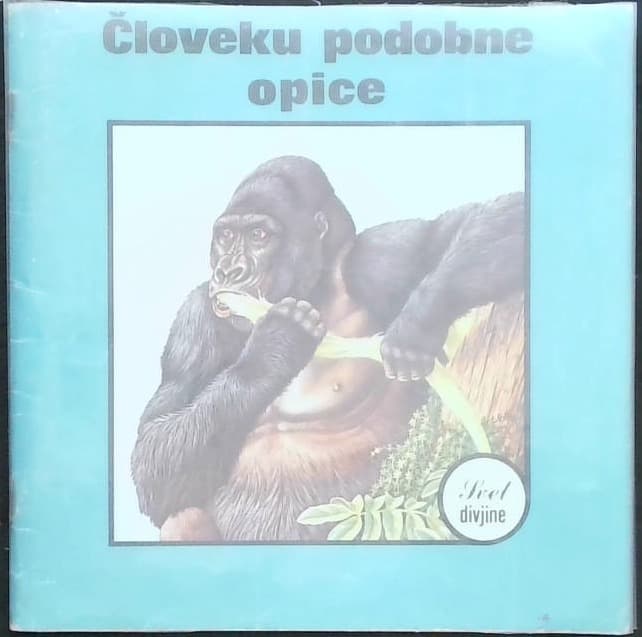 Človeku podobne opice