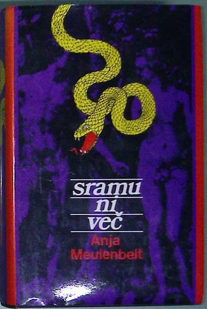 Sramu ni več - slika 2