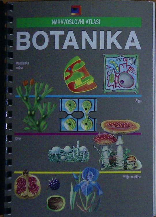 Botanika - slika 2
