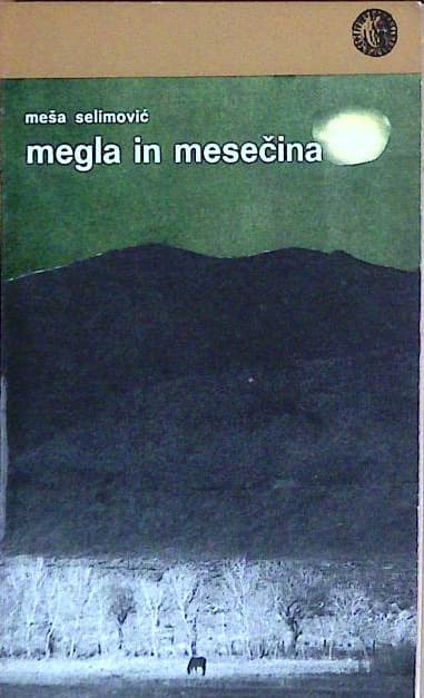 Megla in mesečina