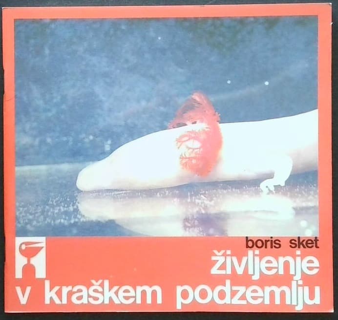 Življenje v kraškem podzemlju