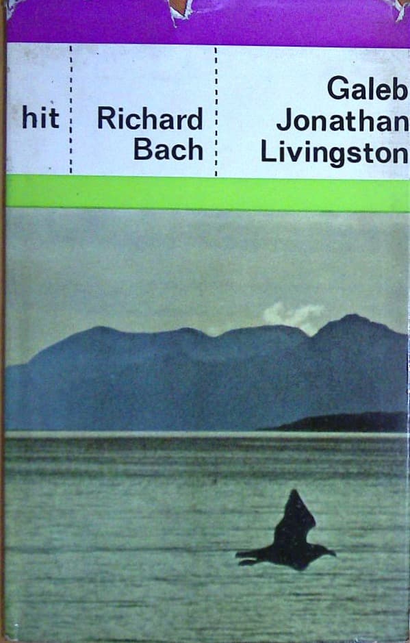 Jonatan Livingston Galeb