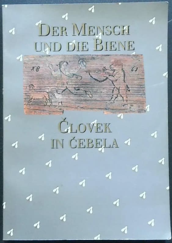 Človek in čebela