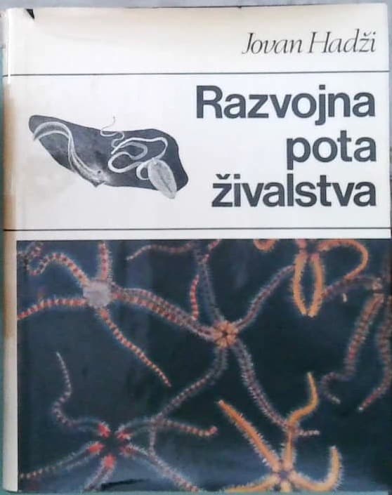 Razvojna pota živalstva