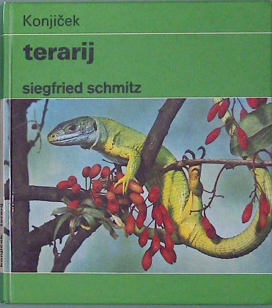Konjiček terarij