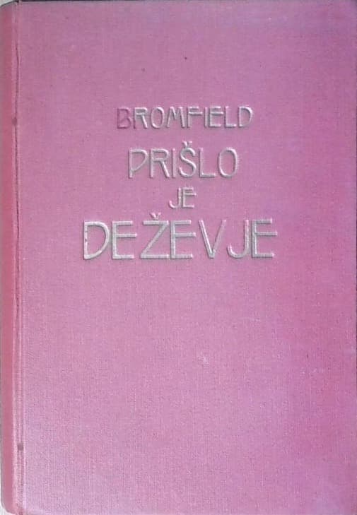 Prišlo je deževje : roman iz sodobne Indije