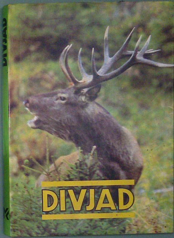 Divjad