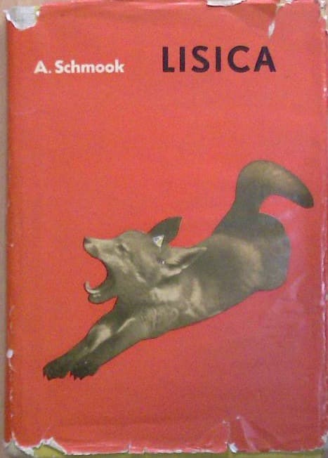Lisica