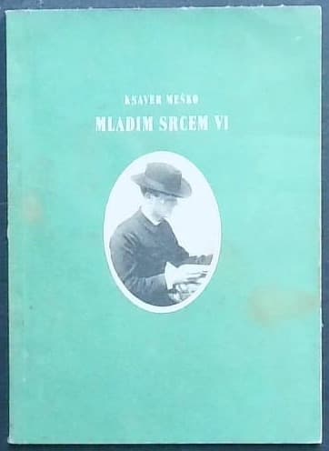 Mladim srcem VI. - slika 2