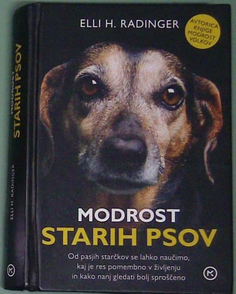 Modrost starih psov
