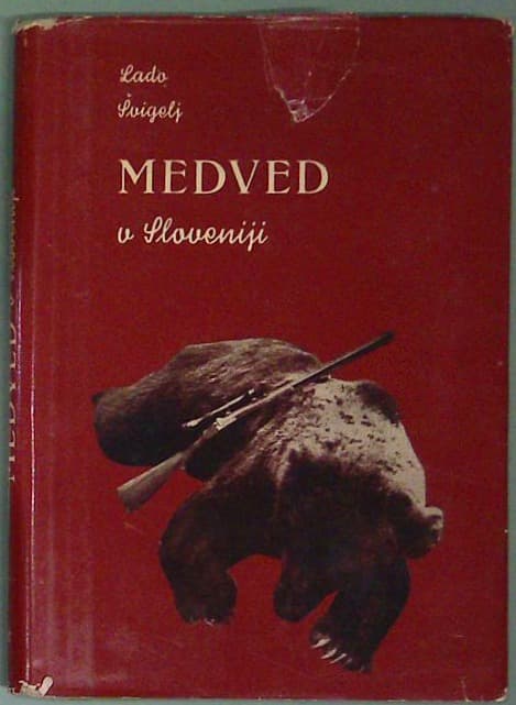 Medved v Sloveniji