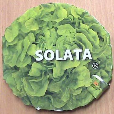 Solata: 30 receptov