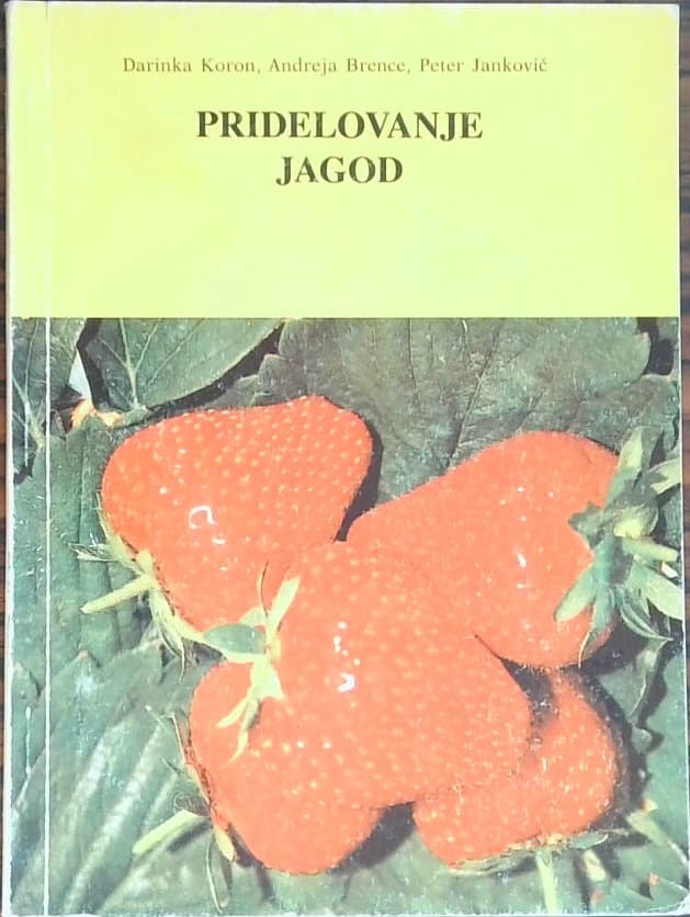Pridelovanje jagod