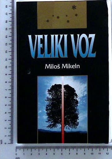 Veliki voz