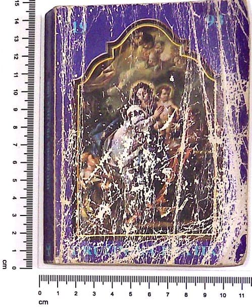 Družinska pratika za prestopno leto 1993