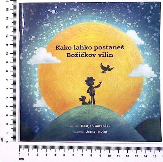 Kako lahko postaneš Božičkov viliin