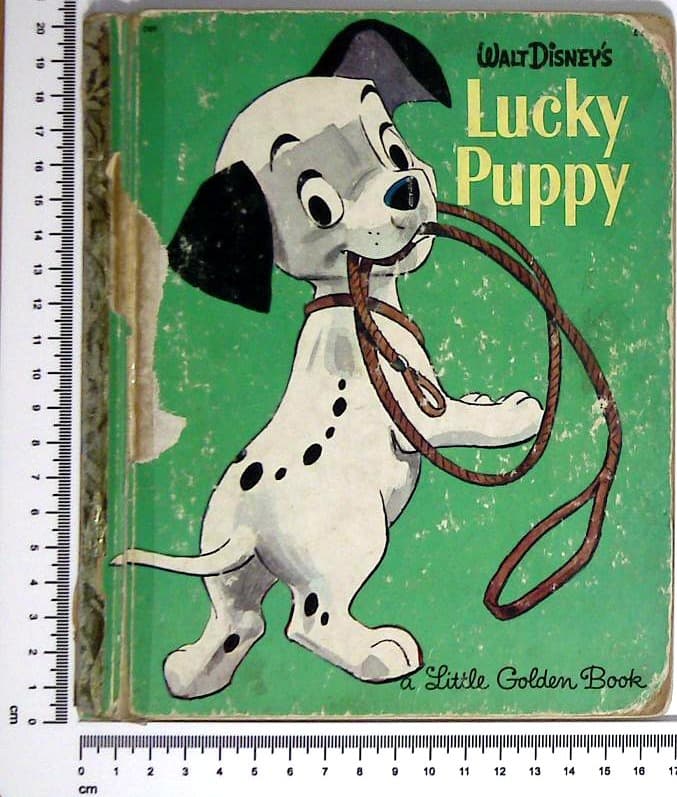 Lucky Puppy