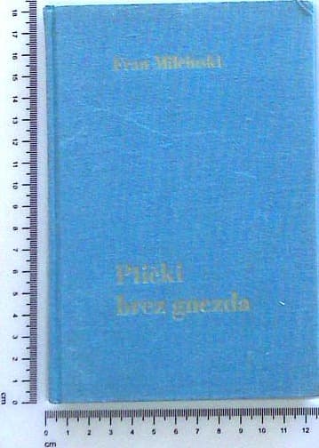 Ptički brez gnezda