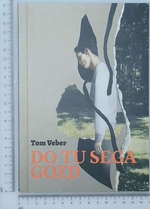Do tu sega gozd