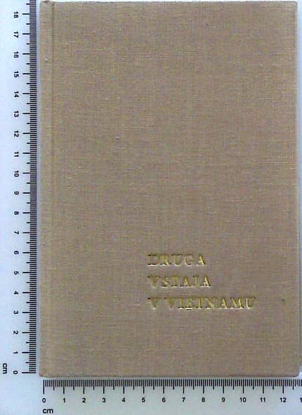 Druga vstaja v Vietnamu