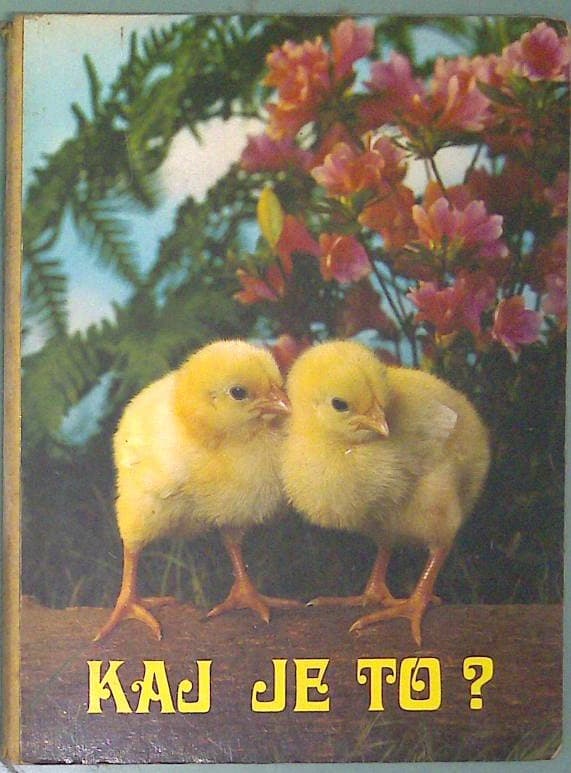 Kaj je to? : Kmetija - slika 2