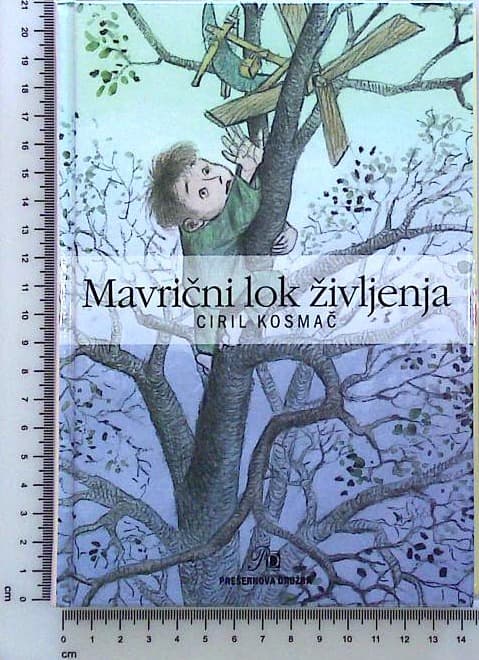 Mavrični lok življenja