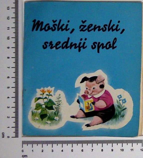 Moški, ženski, srednji spol