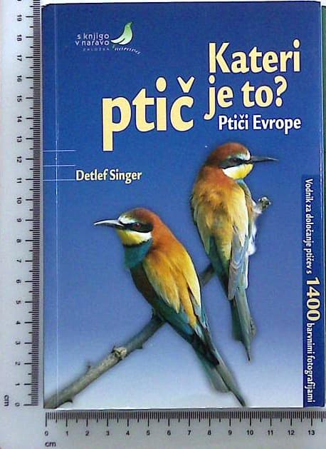 Kateri ptič je to? : Ptiči Evrope
