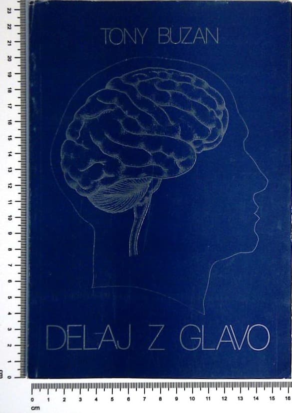 Delaj z glavo