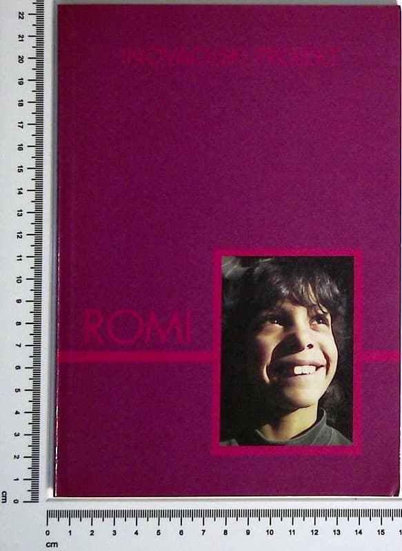Inovacijski projekt : Romi