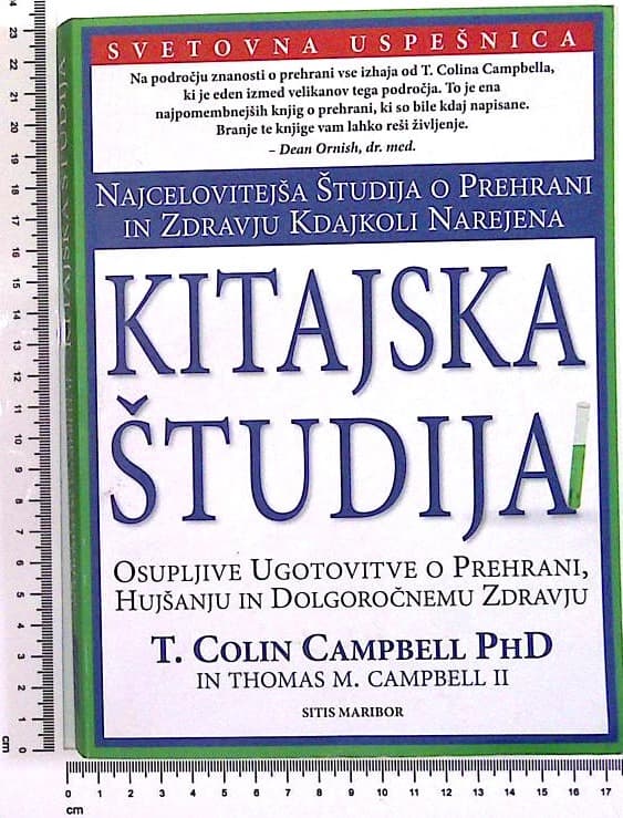 Kitajska študija