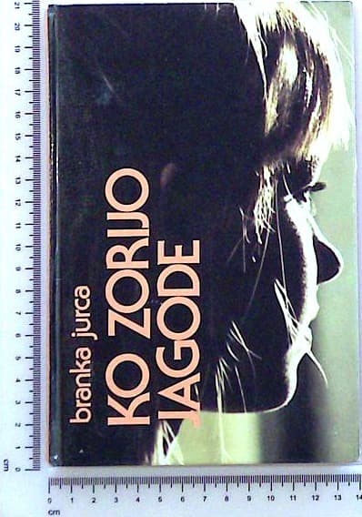 Ko zorijo jagode