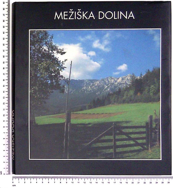 Mežiška dolina
