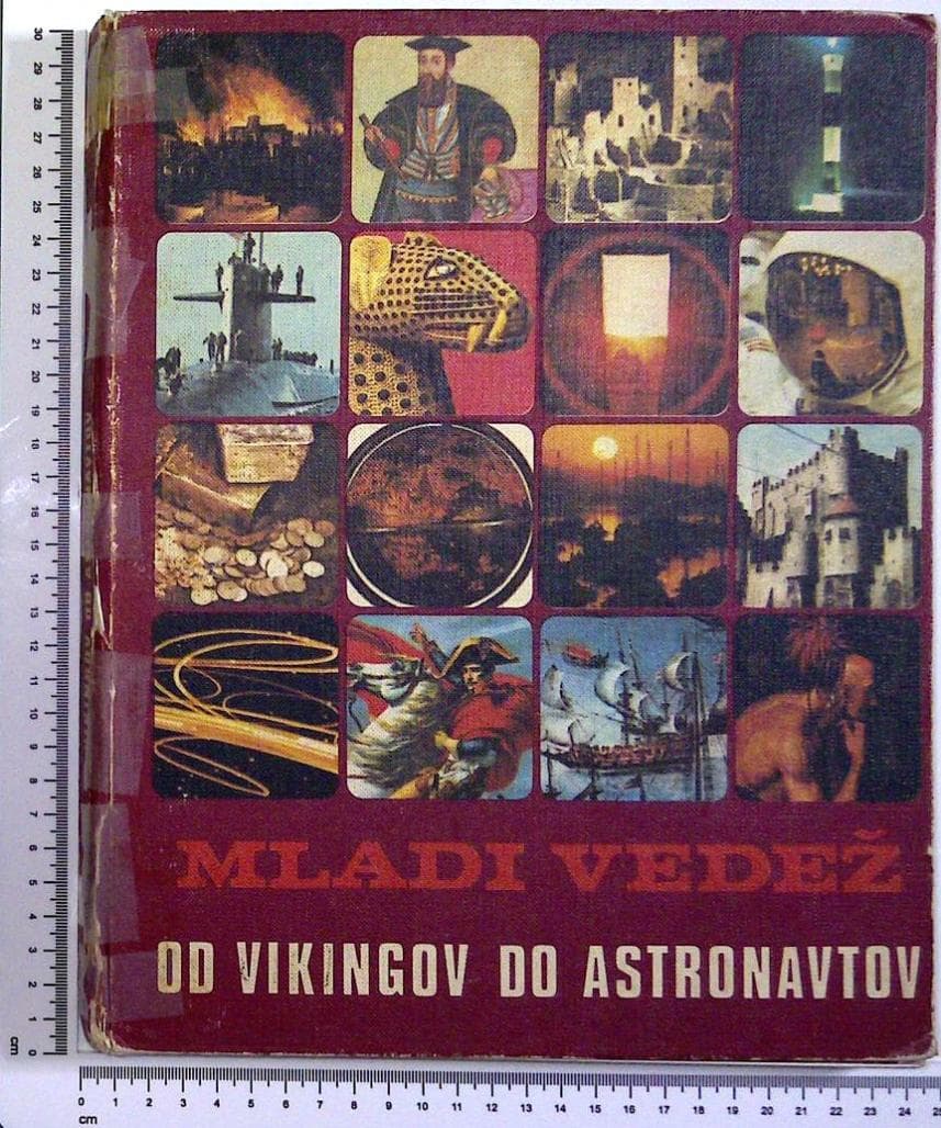 Mladi vedež