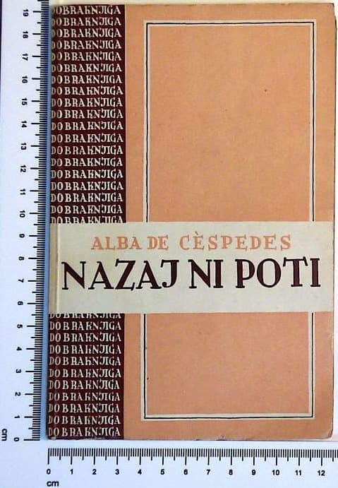 Nazaj ni poti