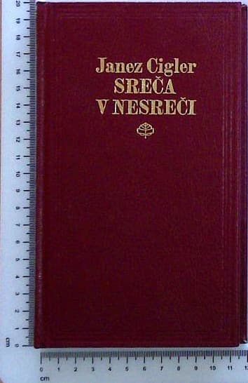 Sreča v nesreči