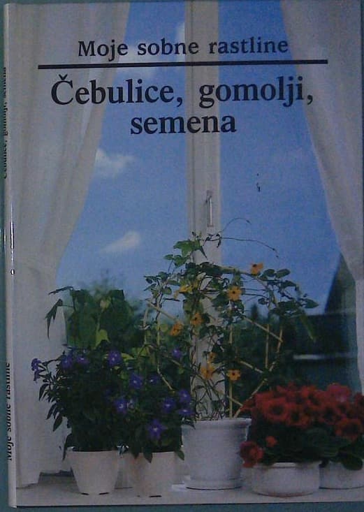 Moje sobne rastline / Čebulnice, gomolji, semena