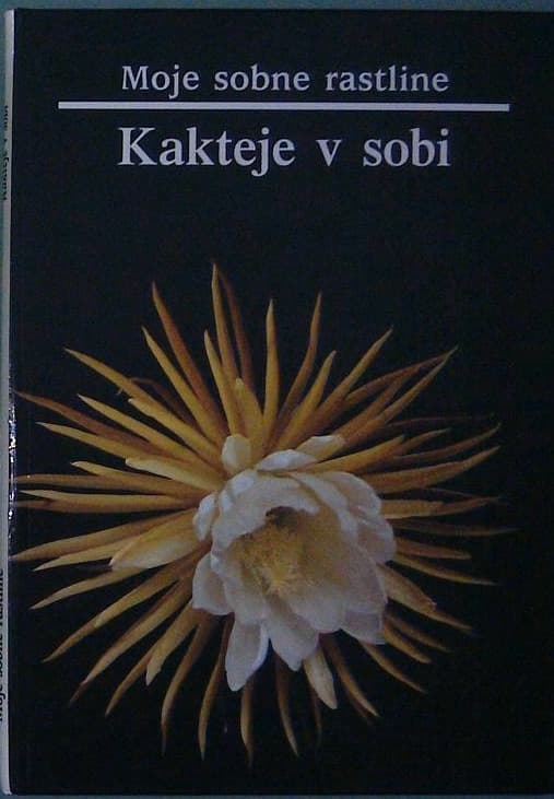 Moje sobne rastline / Kakteje v sobi