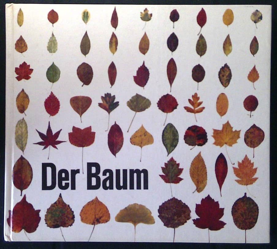 Der Baum